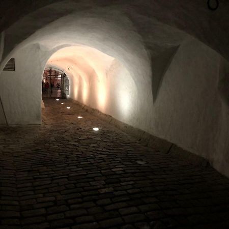 Kuninga Apartment Tallin Zewnętrze zdjęcie