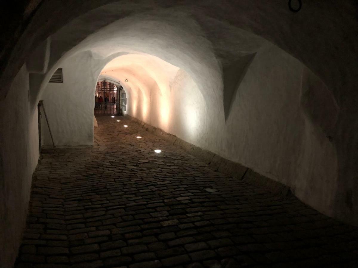 Kuninga Apartment Tallin Zewnętrze zdjęcie